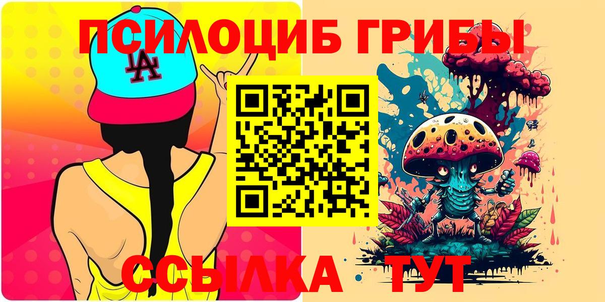 Псилоцибиновые грибы GOLDEN TEACHER Удомля