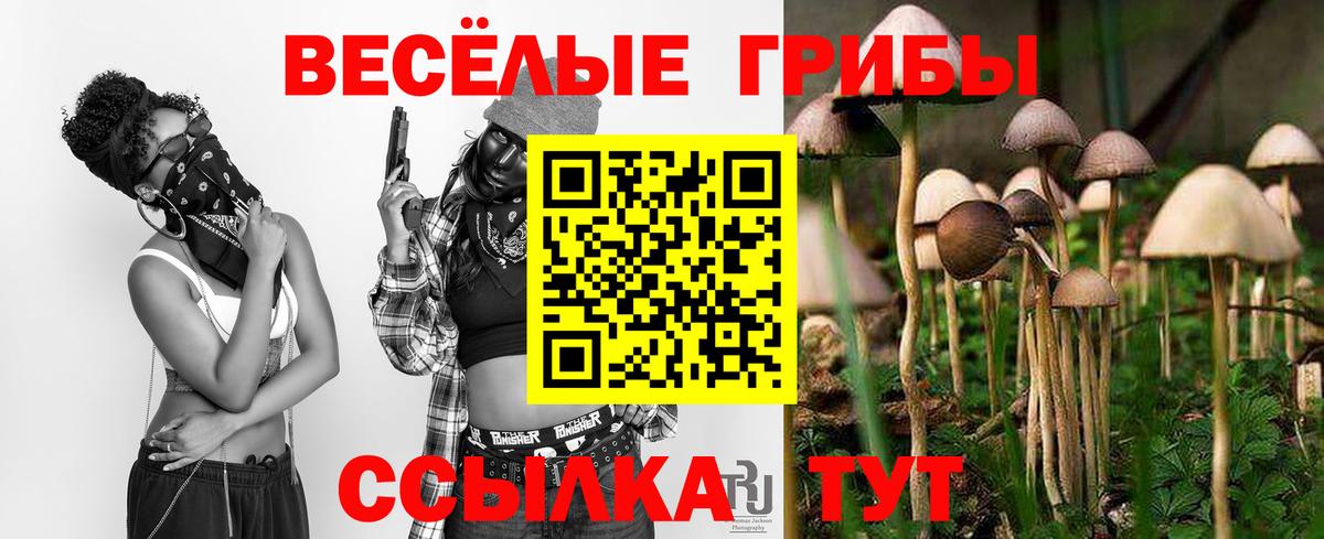 Удомля  Псилоцибиновые грибы прущие грибы  Псилоцибиновые грибы Psilocybine cubensis  где найти   Вход с VPN 